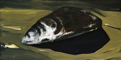 Muschel