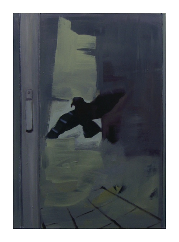 Fenster (Vogel)